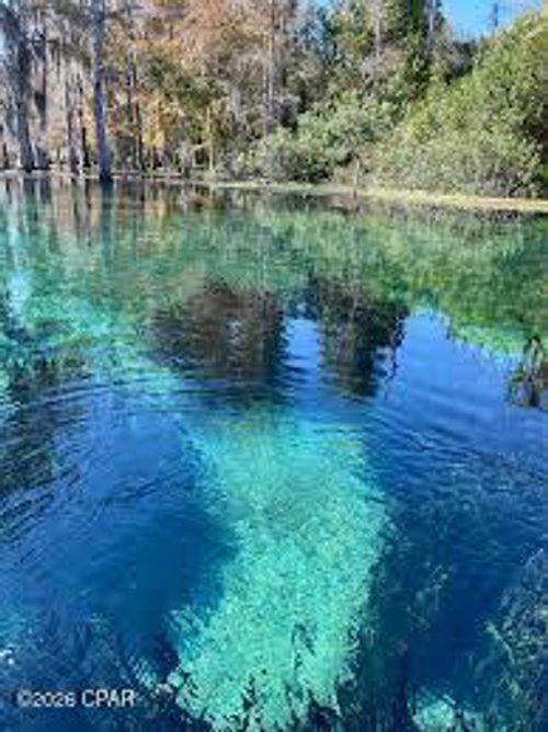 000 Flynt Dr, Marianna, FL, 32446 | Card Image