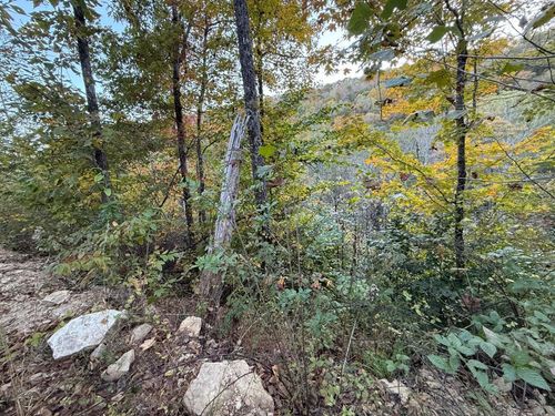30 Ky Highway 89 S, Livingston, KY, 40445 | Card Image