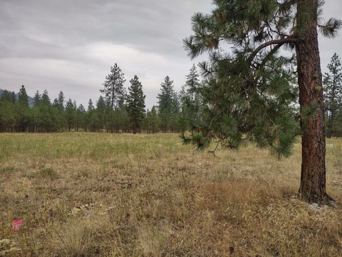 7534 Kimberly Drive Way, Ford, WA, 99013-9737 | Card Image