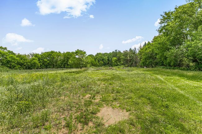 A cleared portion on the 5.3 acre property - plenty of space to enjoy the outdoors | Image 31