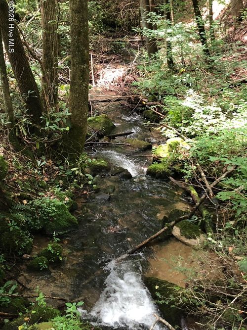 4641 Owl Creek Rd, Murphy, NC, 28906-7491 | Card Image