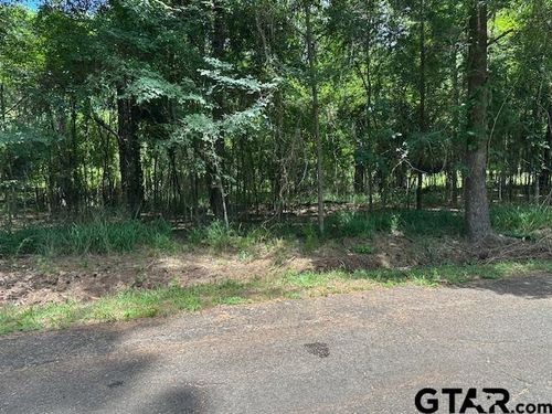 0000 Flaming Tree Way, Flint, TX, 75762 | Card Image