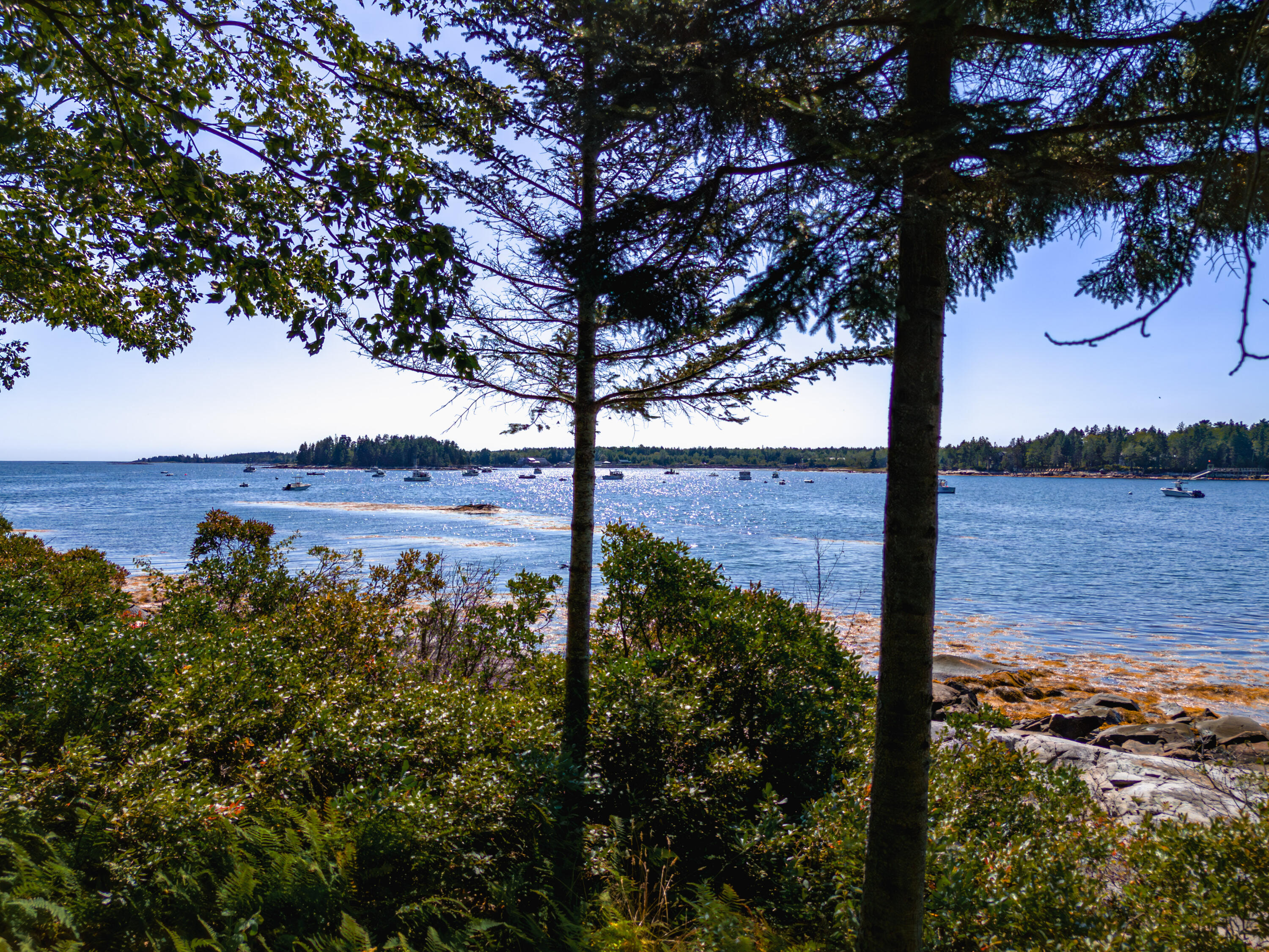 Harrington Cove Rd, Spruce Head, ME 04859