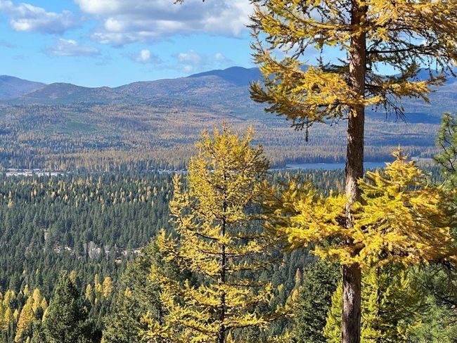 968 Bitterroot Dr, House other with 2 bedrooms, 2 bathrooms and null parking in Seeley Lake MT | Image 53