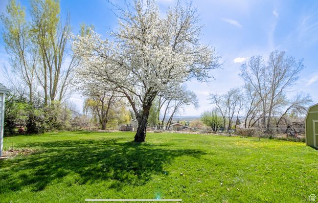 View of yard | Image 27