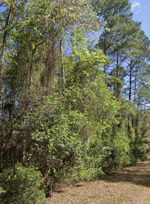 128 Helen Ave, GEORGETOWN, FL, 32139 | Card Image
