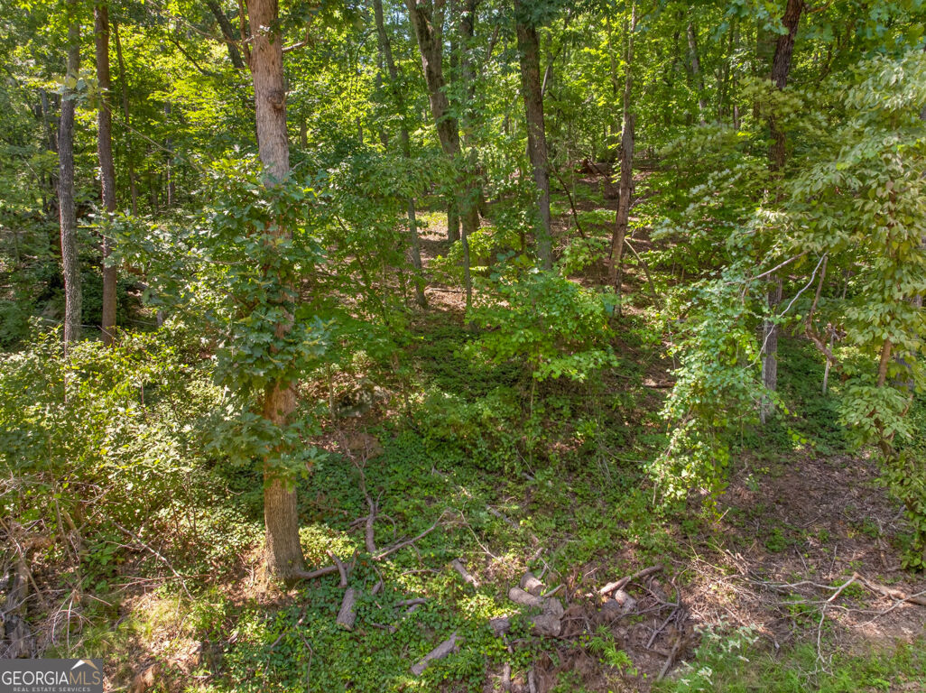 Land in Clarkesville 4