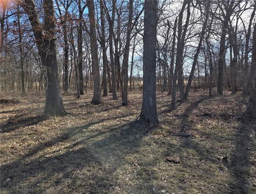 Tract C Nw County Road 17402 N/A, Archie, MO, 64725 | Card Image