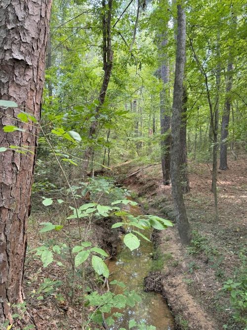 TBD County Road 3163 S, Laneville, TX, 75667 | Card Image