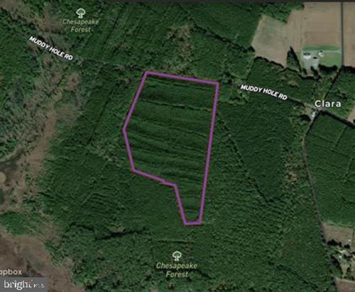0 Muddy Hole Rd, TYASKIN, MD, 21865 | Card Image