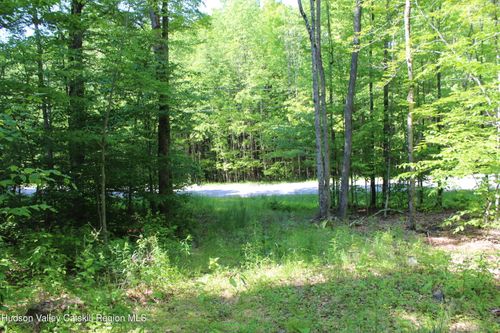 380 Terrace Dr, Prattsville, NY, 12468 | Card Image