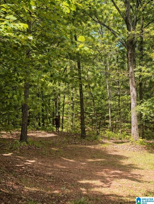 n-3552 Highway 39, CHELSEA, AL, 35043-6706 | Card Image