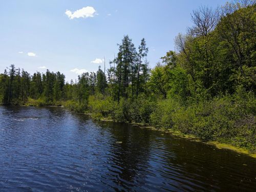 2174 Pondell Ln, Bruce, WI, 54819-9672 | Card Image