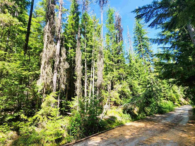 7450 Ruby Creek Rd, Home with 0 bedrooms, 0 bathrooms and null parking in Cusick WA | Image 13