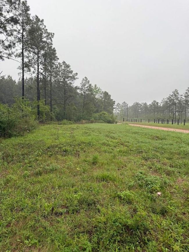 0 Richardson Rd E, Home with 0 bedrooms, 0 bathrooms and null parking in Livingston TX | Image 18