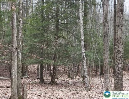153 Pine Tree Dr, Paradise Vly, PA, 18326-7334 | Card Image