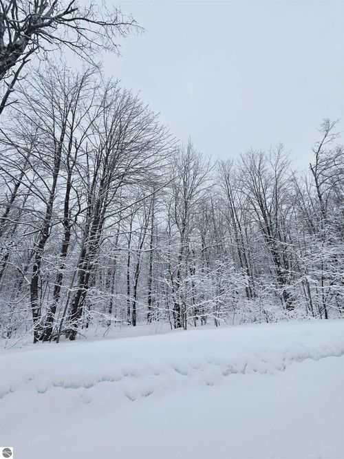 4647 Hillview Dr, Elmira, MI, 49730 | Card Image