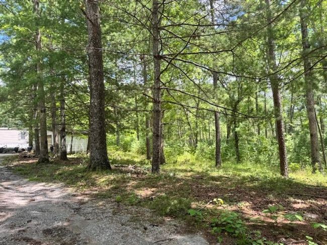 1101 Franklin Loop, House other with 3 bedrooms, 2 bathrooms and 1 parking in Clarkrange TN | Image 10