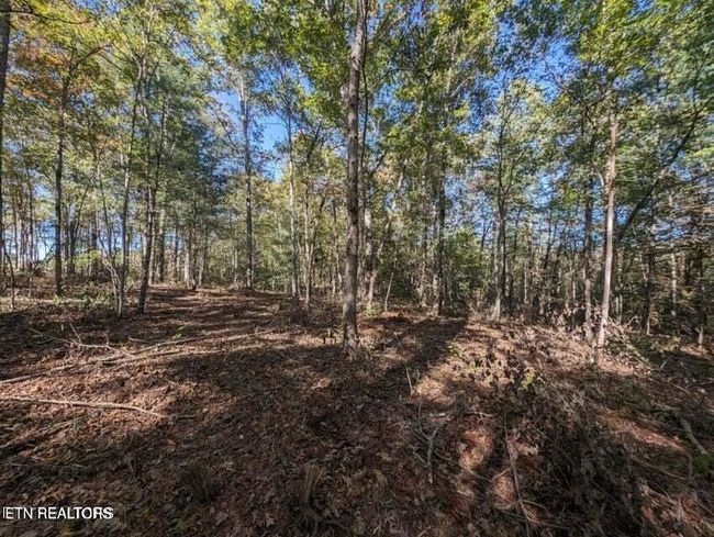 239 Sewell Dr, Home with 0 bedrooms, 0 bathrooms and null parking in Allardt TN | Image 5