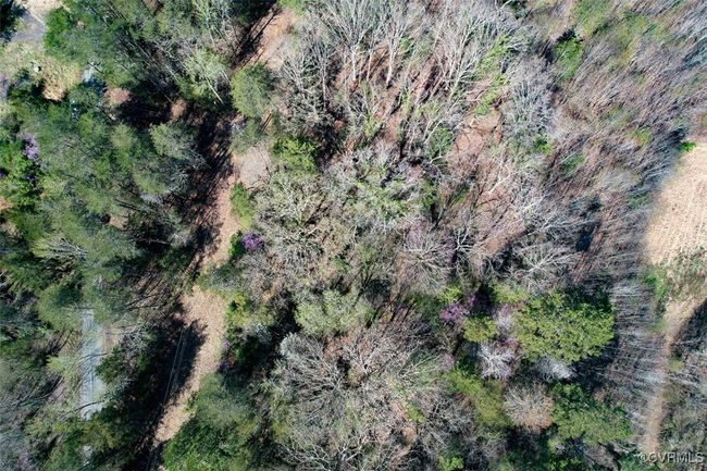 Birds eye view of property with a view of trees | Image 5
