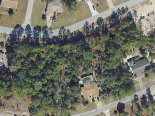 7855 N Golfview Dr, Citrus Springs, FL, 34434-5713 | Card Image