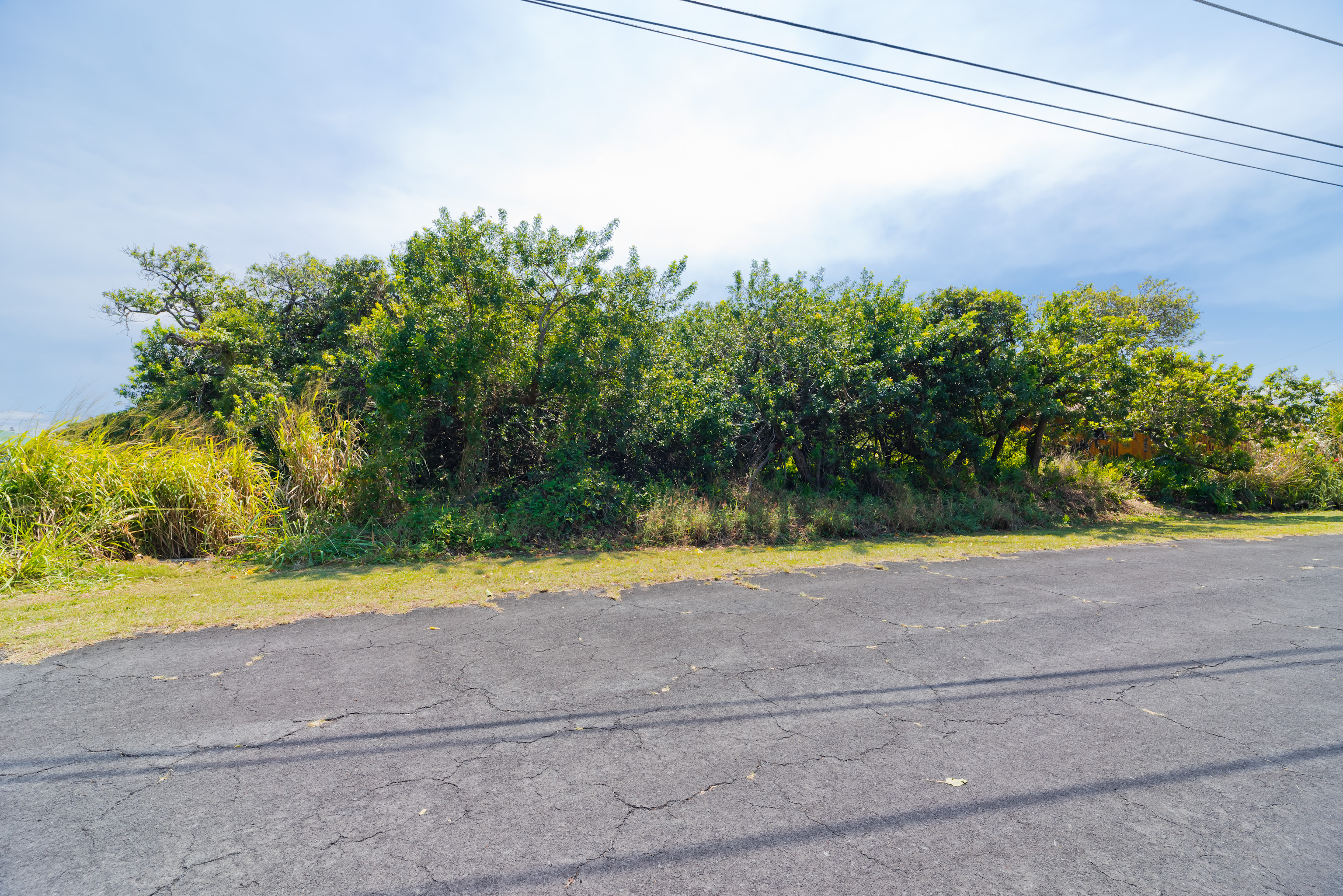 Land in Naalehu 3