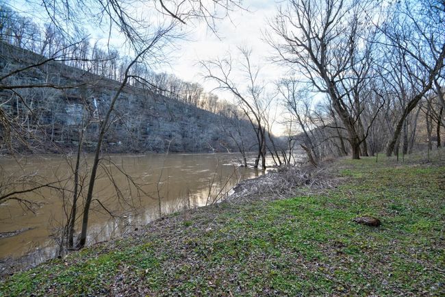 View of the Kentucky River from the property Feb 2025. | Image 9