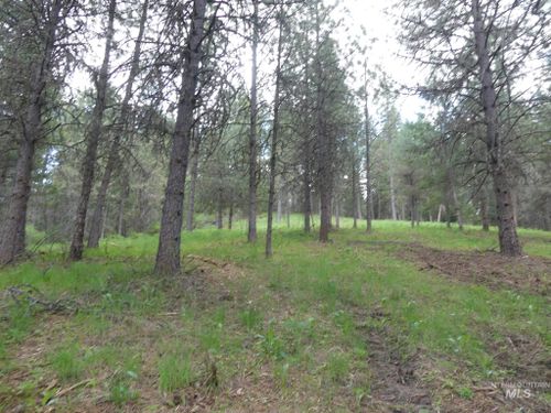22743 Old Melrose Grade Rd, Peck, ID, 83545-8005 | Card Image