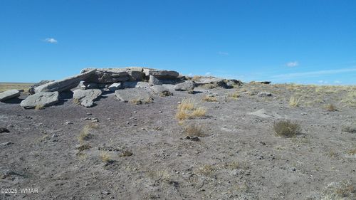 TBD River Meadows Ranch, Concho, AZ, 85924 | Card Image