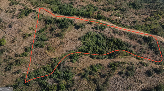 Land in Ellijay 2