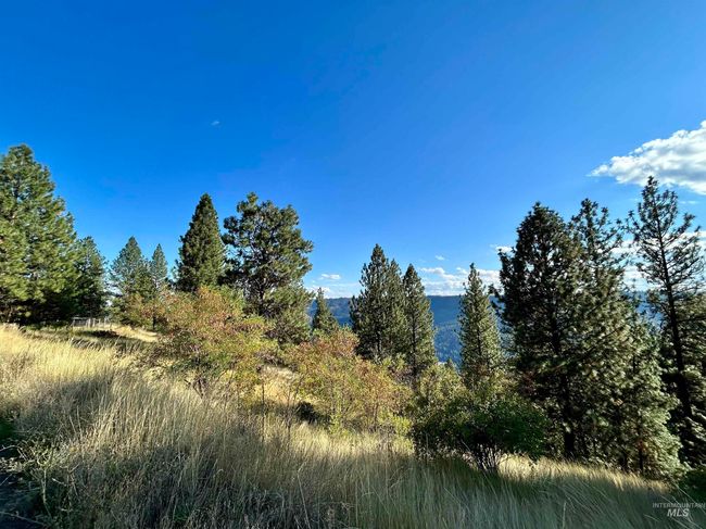 1510 Summitview Dr, House other with 2 bedrooms, 1 bathrooms and null parking in Orofino ID | Image 37