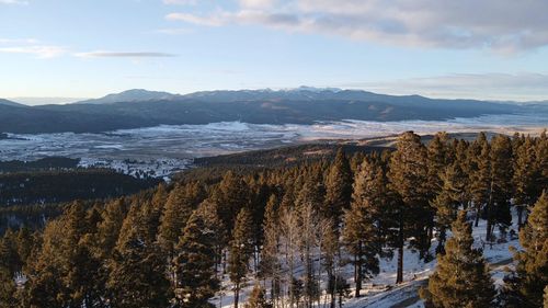 81 Back Basin Rd, Angel Fire, NM, 87710-8015 | Card Image