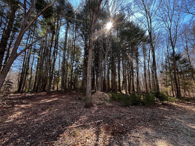1 - 41-1 Whippoorwill Rd, House other with 4 bedrooms, 4 bathrooms and null parking in Old Lyme CT | Image 7