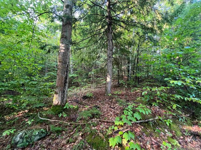 Map 6, Lot 38 Chadwick Hill Road, Home with 0 bedrooms, 0 bathrooms and null parking in Webster NH | Image 15