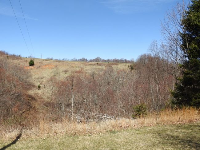984 Cloverdale Rd, House other with 4 bedrooms, 1 bathrooms and null parking in Independence VA | Image 38
