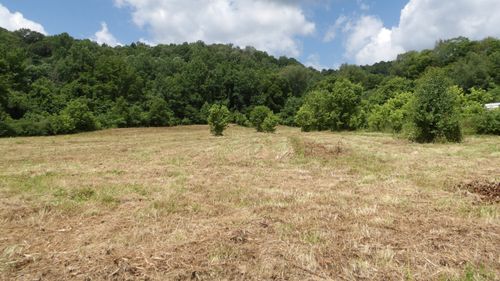 0 Lonnie Reecer Rd, Celina, TN, 38551 | Card Image