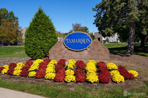8210 Tamarron Dr, Plainsboro, NJ, 08536-4317 | Card Image