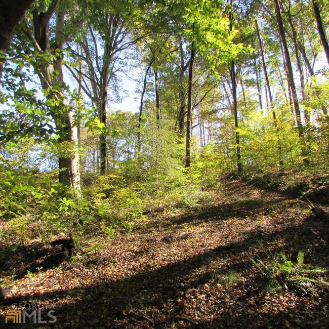 TRACT 2 Coldwater Creek Rd, Home with 0 bedrooms, 0 bathrooms and null parking in Dewy Rose GA | Image 14