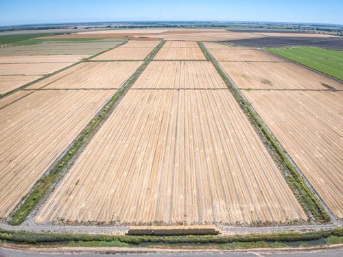 9701 State Highway 220, Walnut Grove, CA, 95690-9603 | Card Image