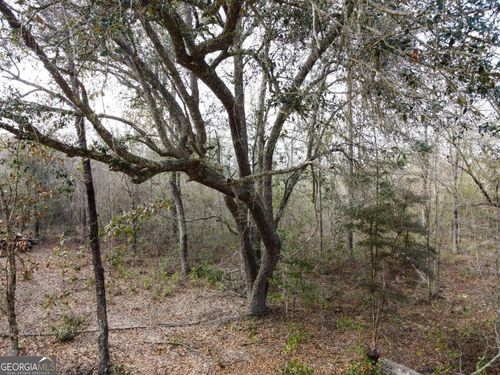 lot-9-0 Floyd Rd, Pembroke, GA, 31321 | Card Image