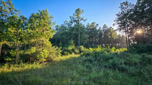 TBD Old Highway 287, Groveton, TX, 75845 | Card Image