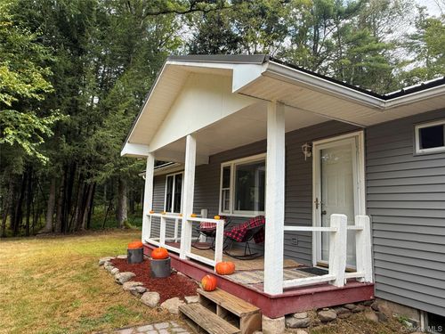 66 Park Rd, Yulan, NY, 12792-5102 | Card Image