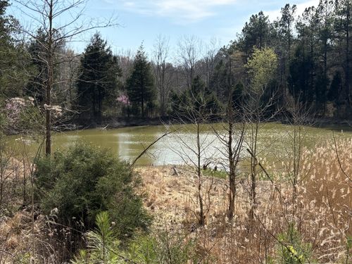 1000 State Route 831, Greenville, KY, 42345 | Card Image