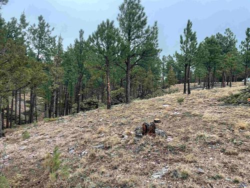 11562 Red Canyon Rd, Custer, SD, 57730 | Card Image