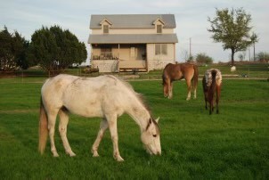 Family Cir, Hutto, TX 78634