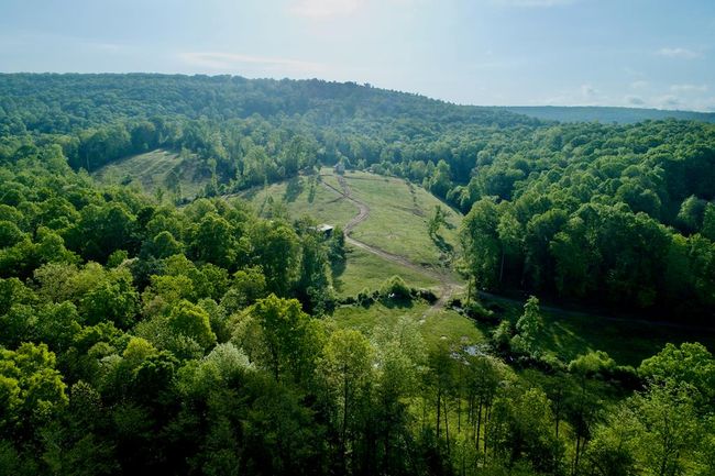 40.46AC Barker Cove Loop, Home with 1 bedrooms, 1 bathrooms and null parking in Palmer TN | Image 48