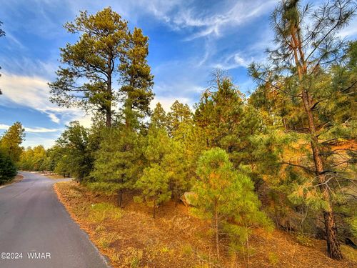 6281 Bent Oak Drive, Pinetop, AZ, 85935 | Card Image