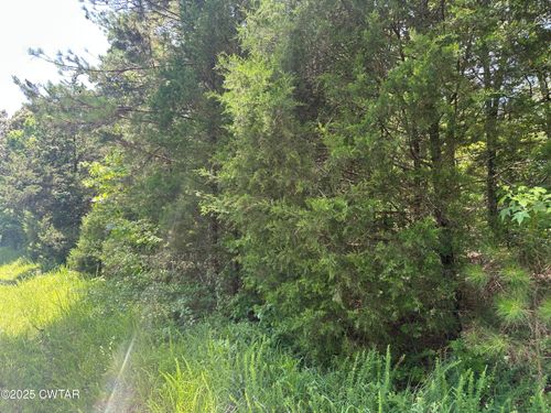 0 Fryes Point Rd, Luray, TN, 38352 | Card Image