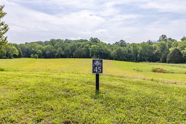 45 Dry Branch Way, Home with 0 bedrooms, 0 bathrooms and null parking in Dunlap TN | Image 10
