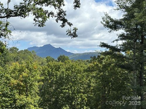66-TBD Linhigh Drive, Newland, NC, 28657 | Card Image